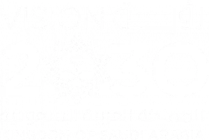رؤية المملكة 2030